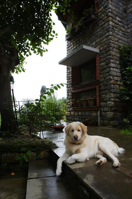 Saffronstays Himalaica, Nainital Bhowali Екстер'єр фото