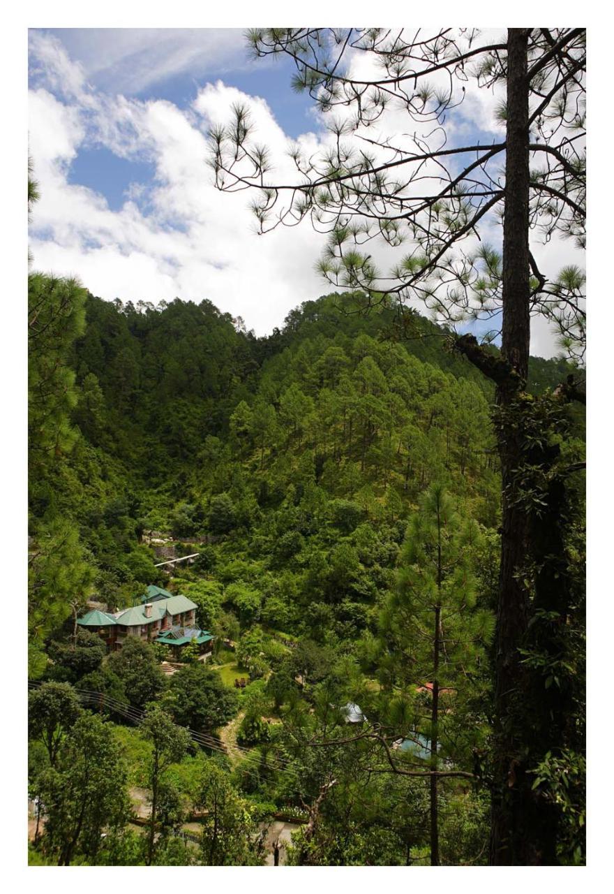 Saffronstays Himalaica, Nainital Bhowali Екстер'єр фото